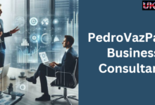 Pedrovazpaulo operations consulting