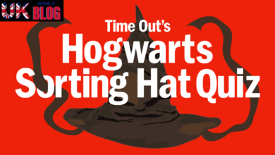 Harry potter house quiz